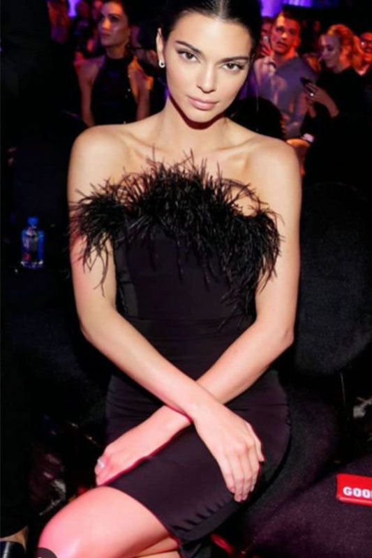 Kendall Jenner Black Bodycon Strapless Party Dress With Feather – Mislish