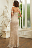 Floor Length Champagne Prom Gown Evening Dress