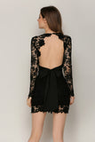 Black Lace Deep V-neck Backless Lace-up Mini Dress - Mislish