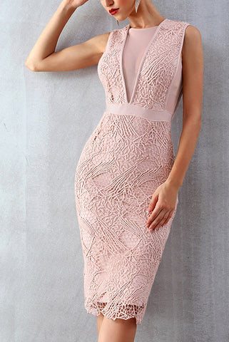 products/Pink-Lace-Sleeveless-Bandage-Party-Dress-_2.jpg