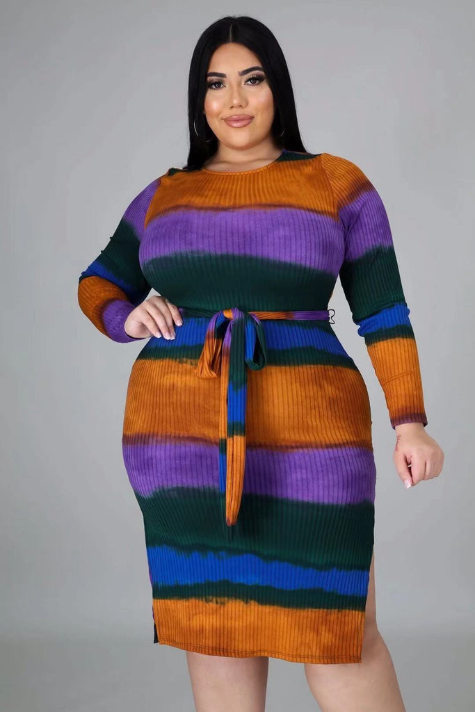 Plus Size Long Sleeve Colorful Dress 