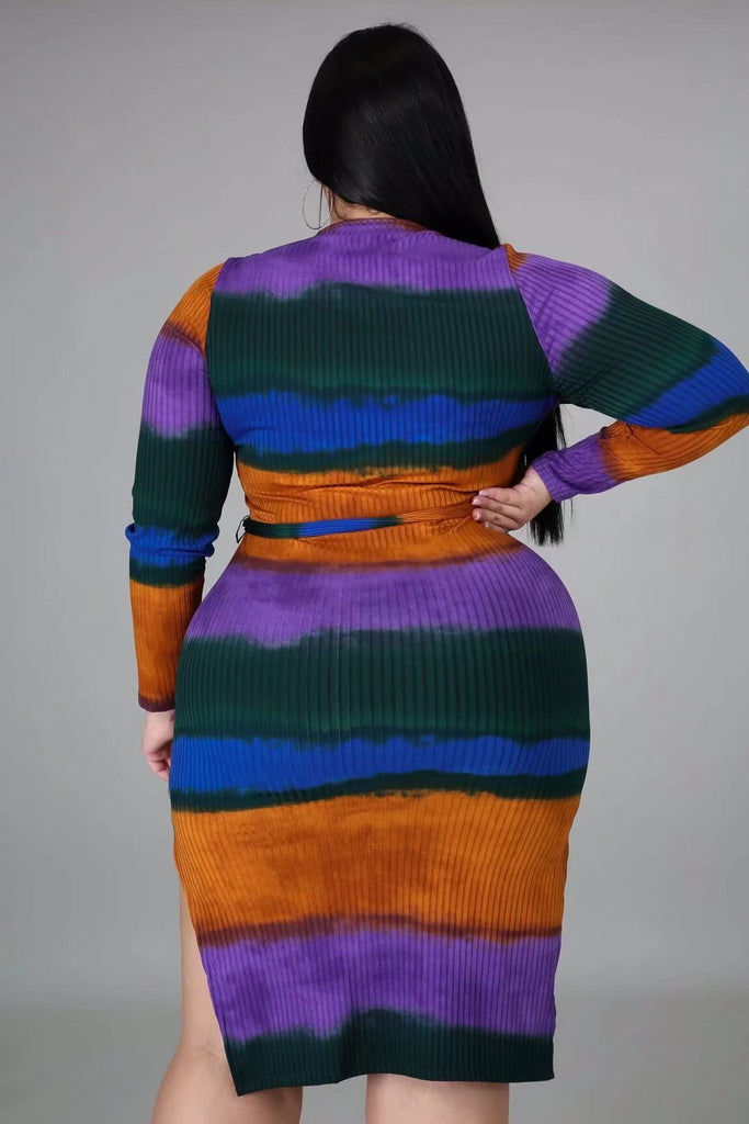 Plus Size Long Sleeve Colorful Dress 