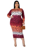 Plus Size Long Sleeve Print Dress 