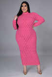 Plus Size Sexy See Through Long Sleeve Party Evening Dress