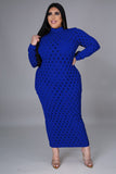 Plus Size Sexy See Through Long Sleeve Party Evening Dress