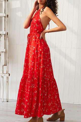 products/Red_Backless_Halter_Maxi_Dress_3.jpg