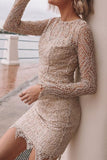 Sequin Long Sleeve Lace Mini Bodycon Dress