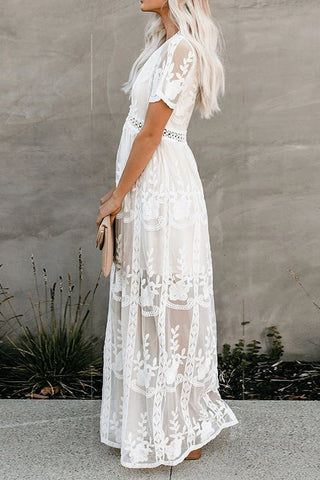 products/chic_see-through_lace_dress_4.jpg